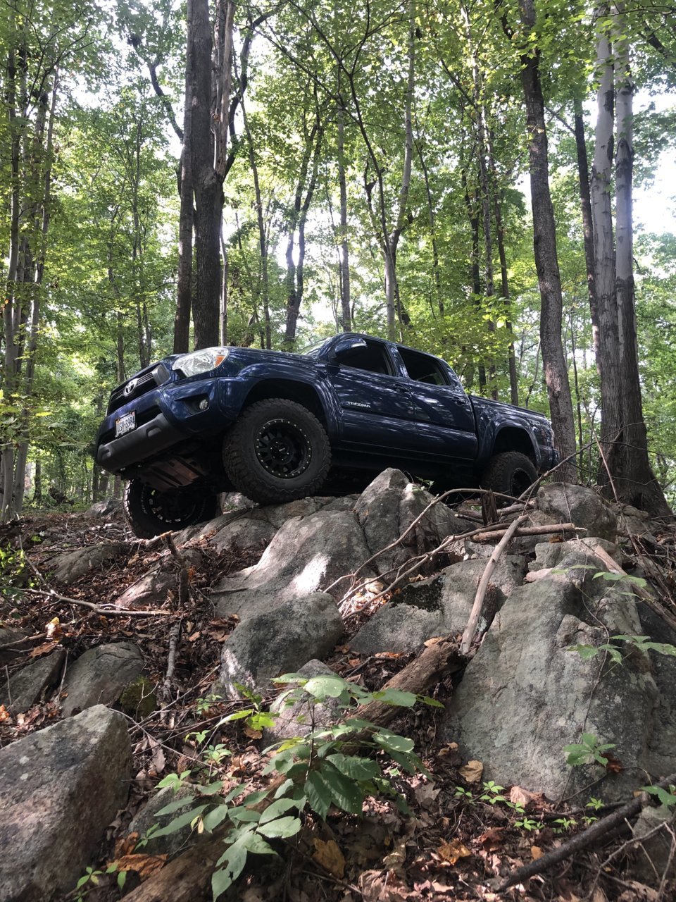 toyota 4.jpg