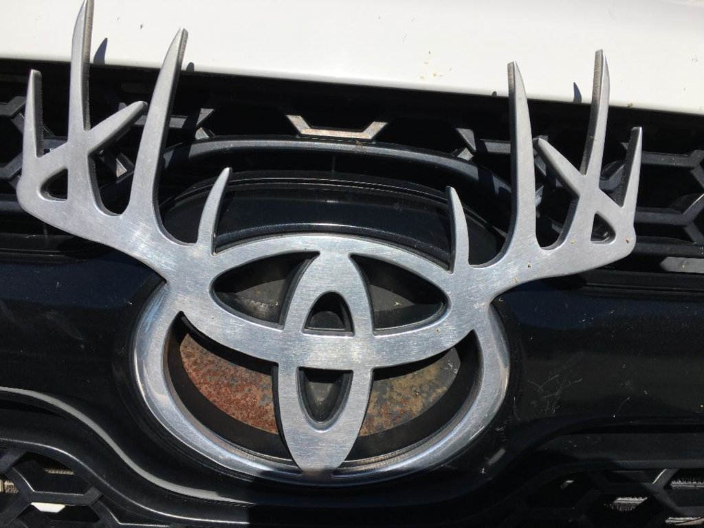 Toyota Antlers.jpg