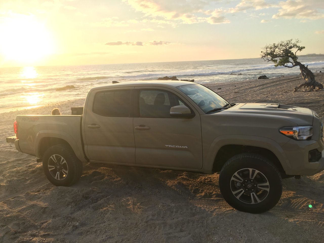 toyota.jpg