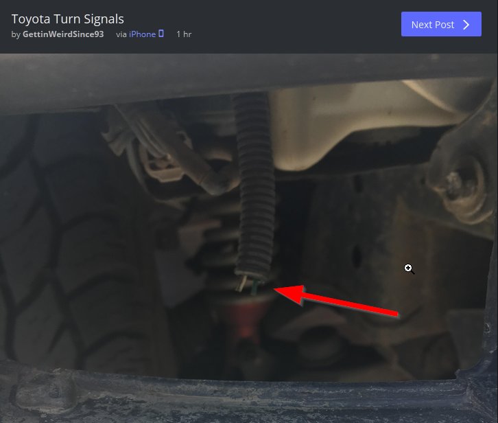 Toyota Turn Signals.jpg