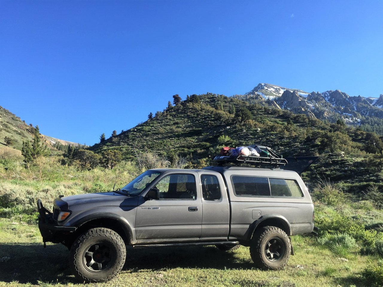 Toyota42 Old Dog.jpg