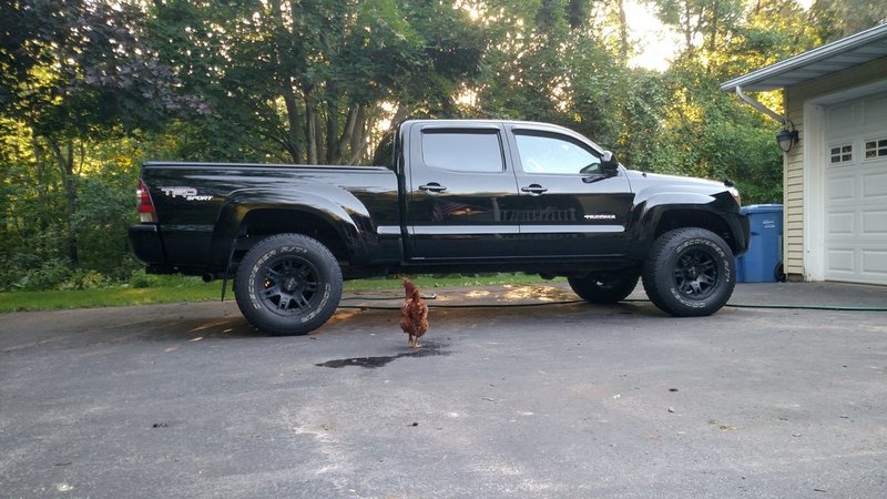 toyota_chicken.jpg