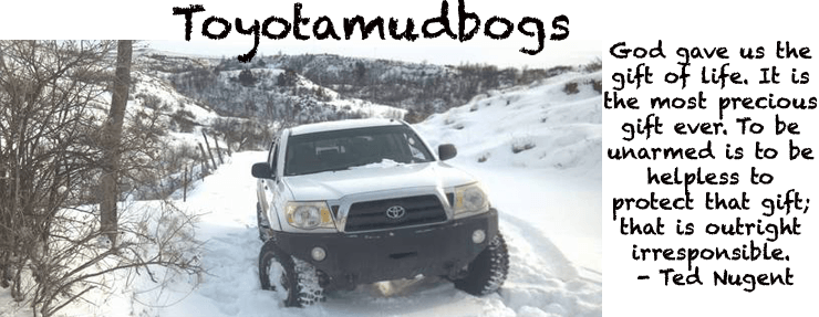 Toyotamudbogs_af030293e717c1057bd0f5002ce58b29536a69f4.png