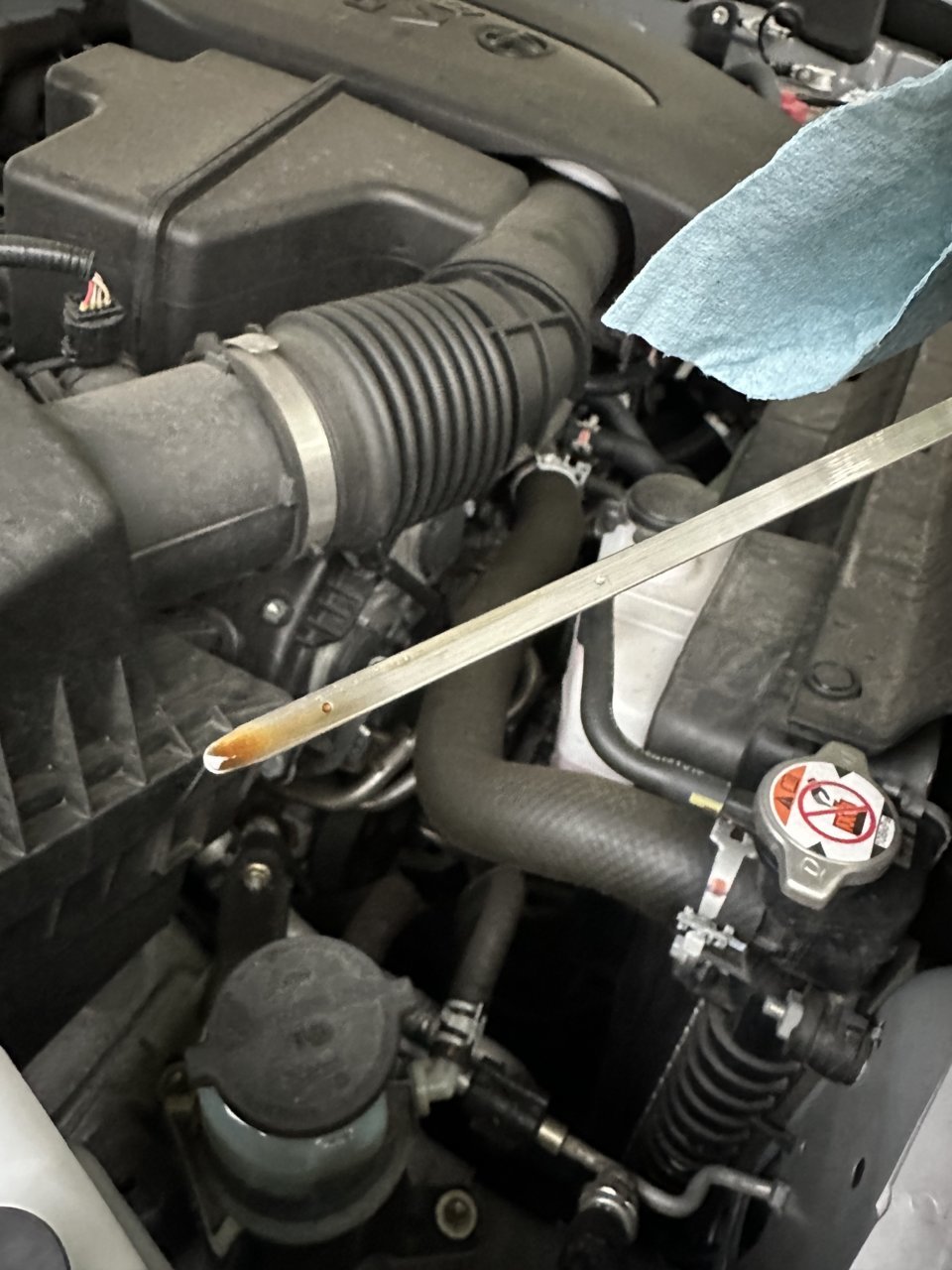 toyotaoil2.jpg