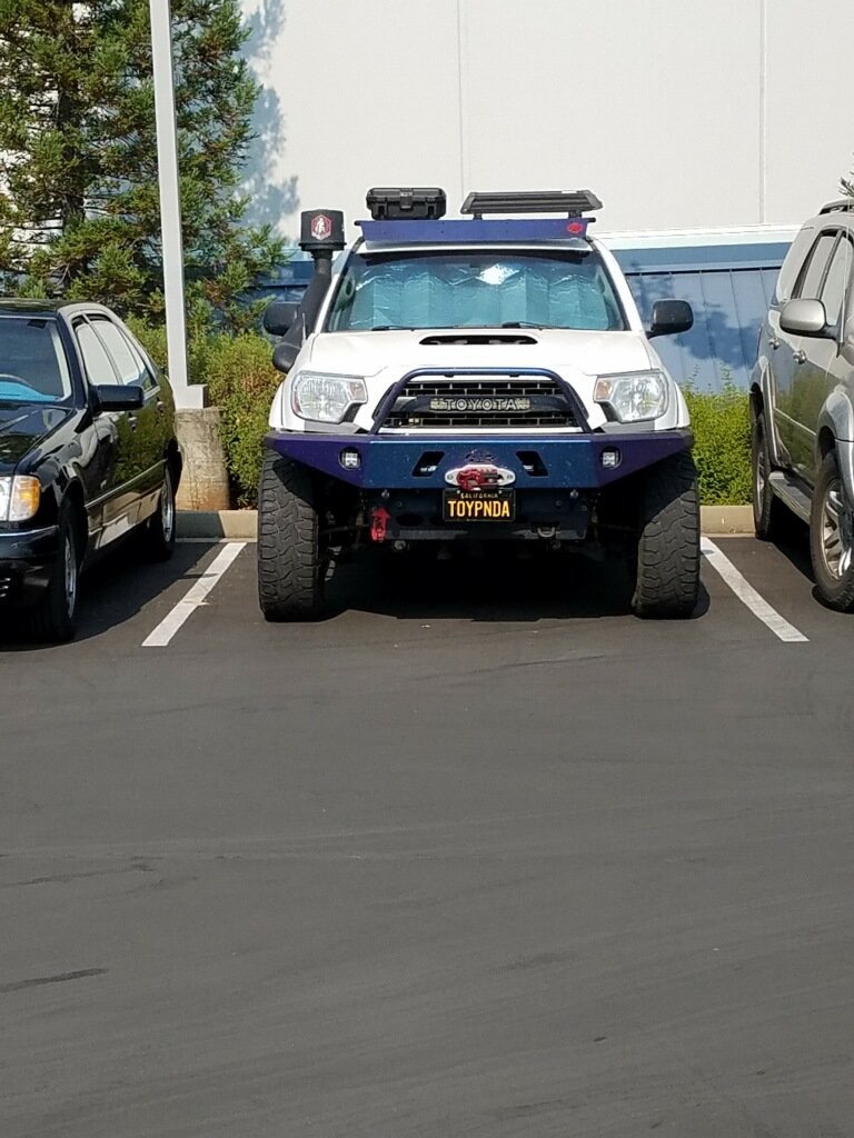 Toypanda.jpg