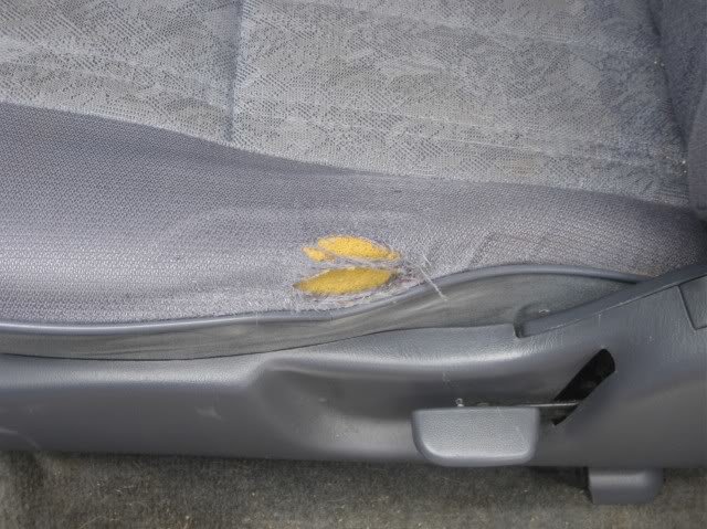 toyseat2_cba2a10af5de123d84baa781c6eab45a469fadb6.jpg