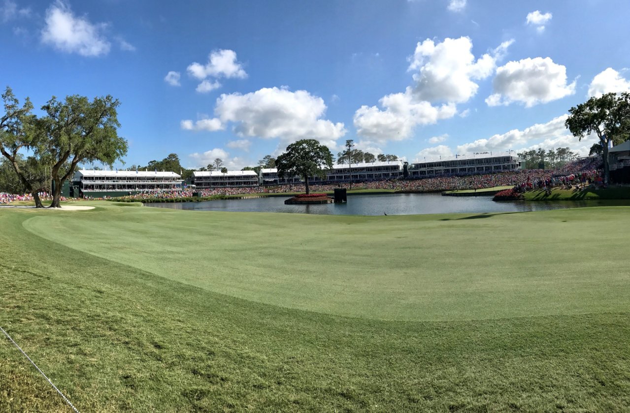 TPC.jpg