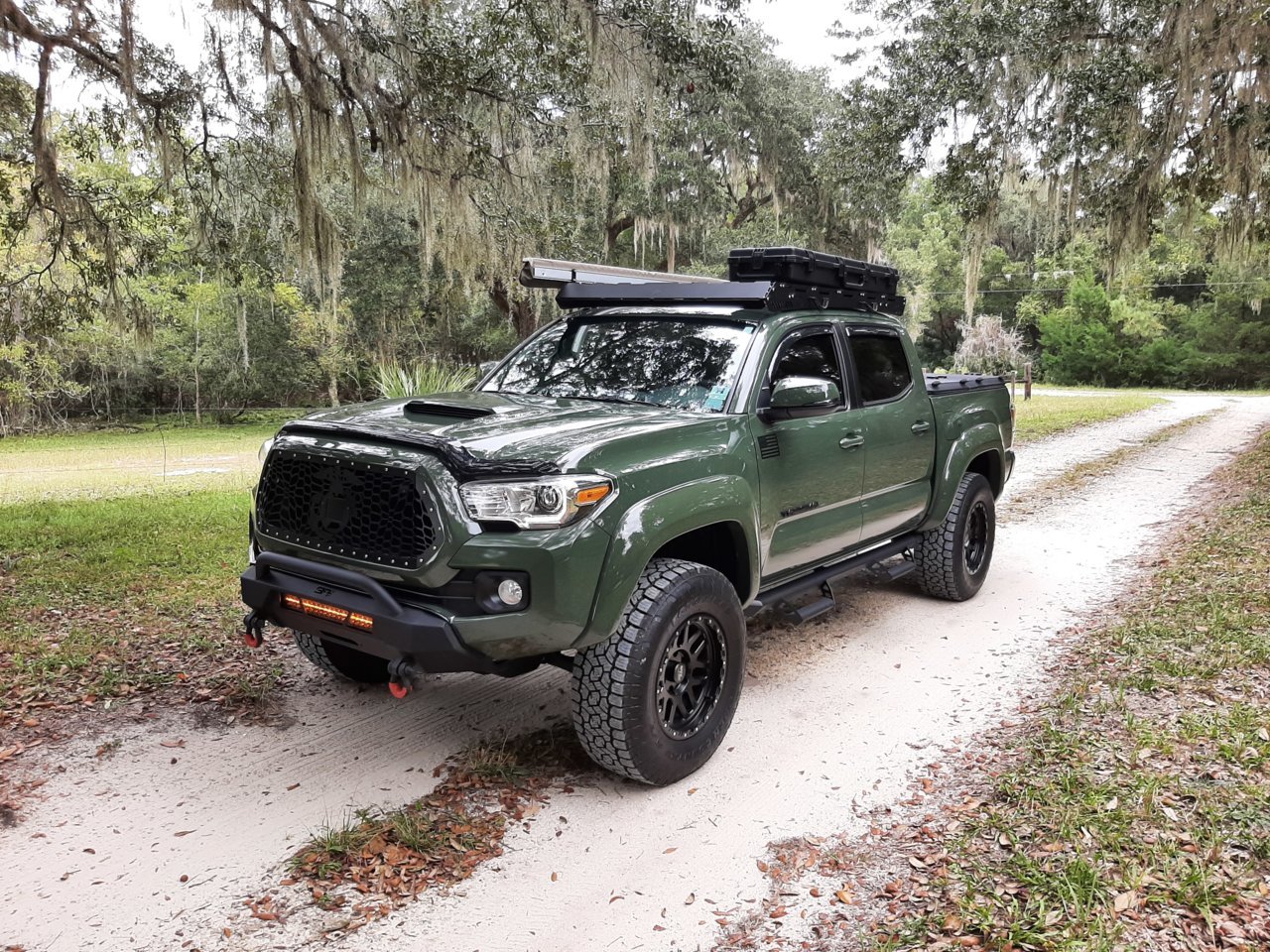 trail 2.jpg