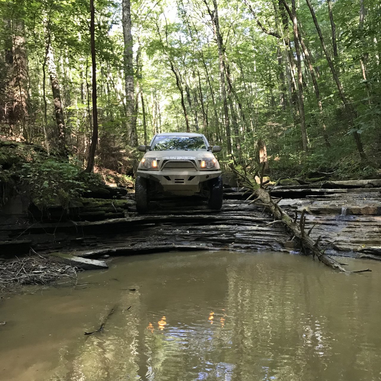 trail 26.jpg