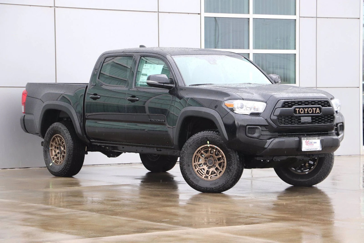 TRAIL BLACK BRONZE.jpg