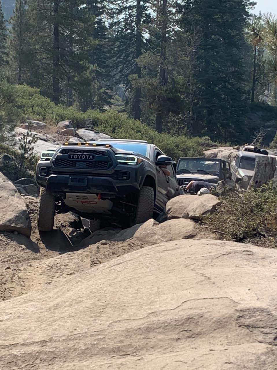 Trail Crawling 2.jpg