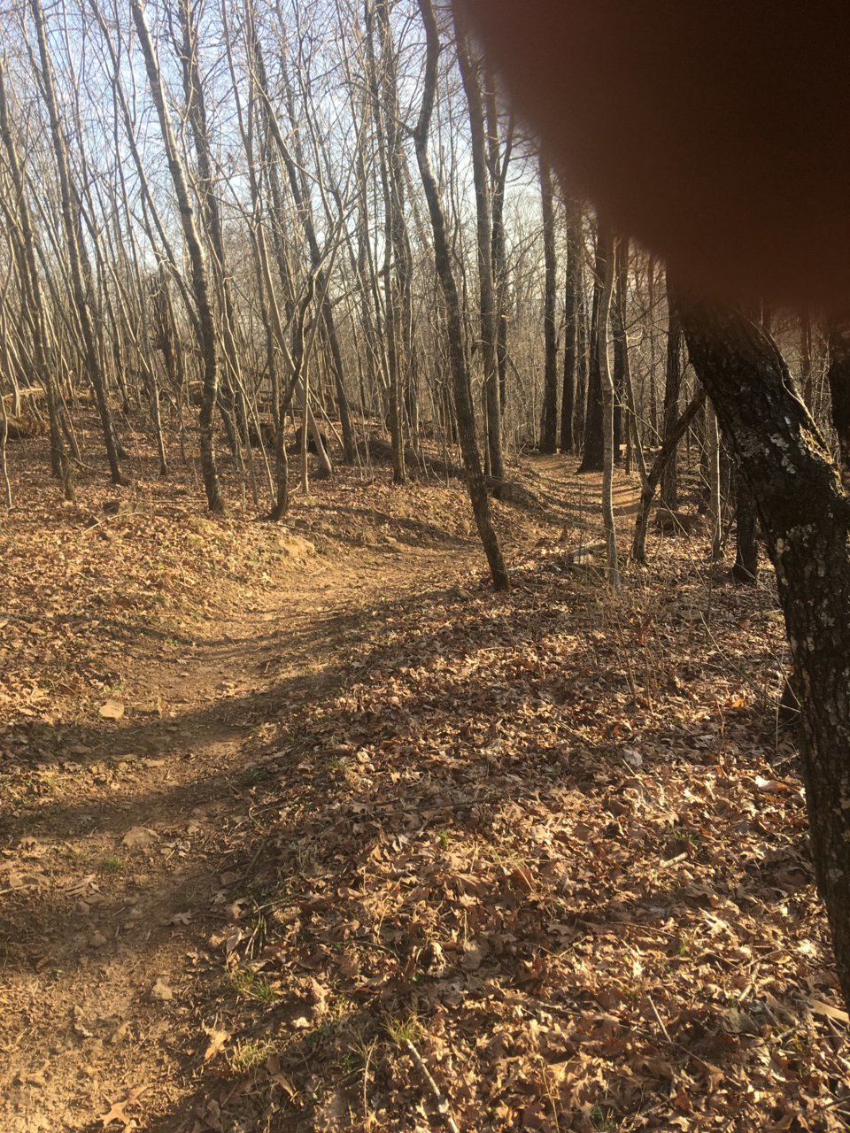 trail.jpg