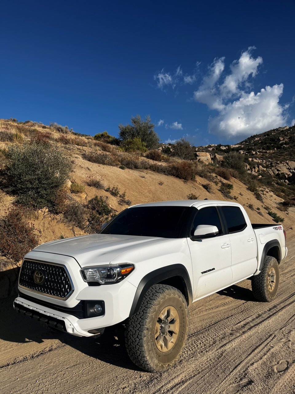 Trail.jpg