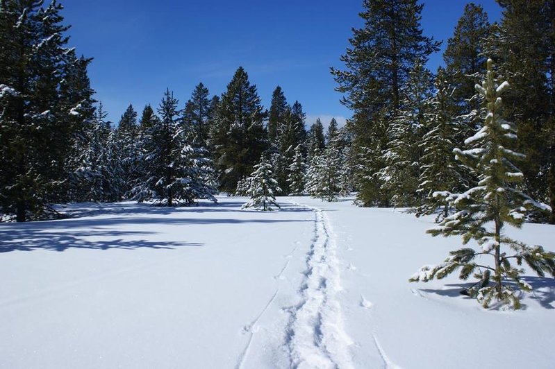 trail.jpg