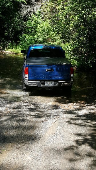 trail riding 2.jpg