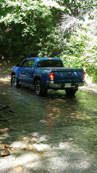 trail riding 3.jpg