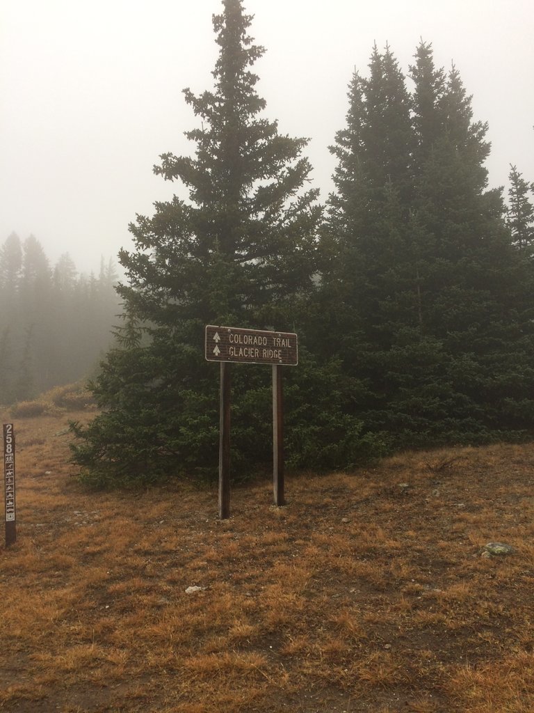 Trail258.jpg