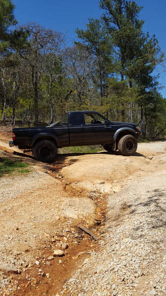 Trail4.jpg