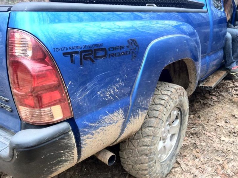 trail_damage.jpg