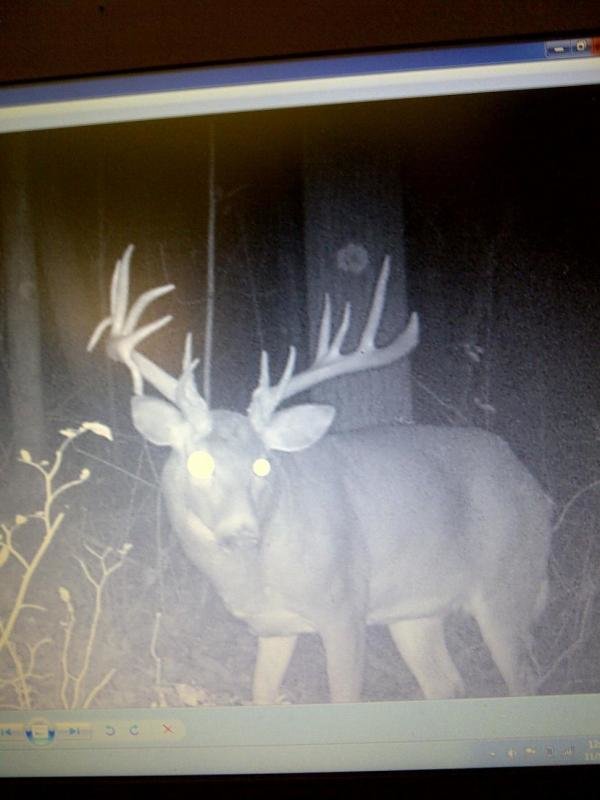 trailcamborax2_364ca55acc9d1f0133de4550a9e04ae65adf9cd2.jpg