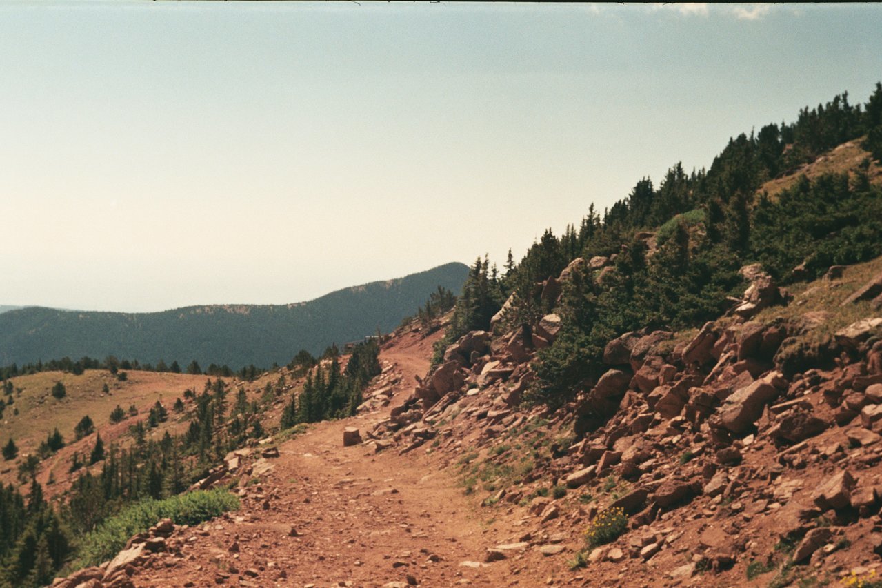 trailDown.jpg