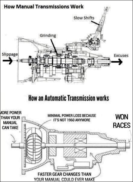 tran.jpg