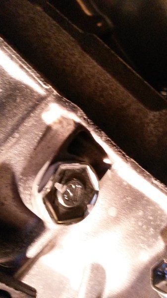 tranny plug.jpg