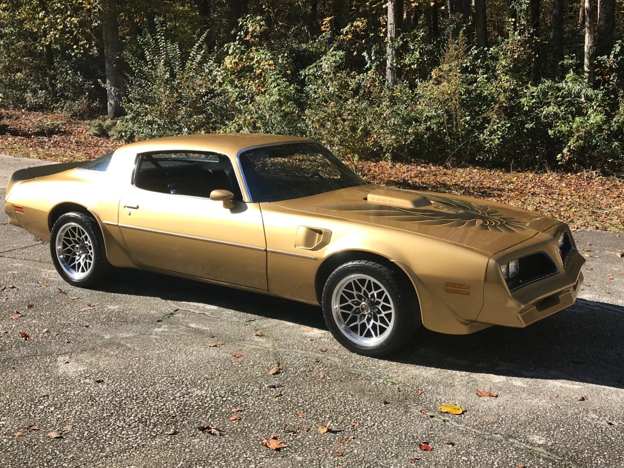Trans am.jpg