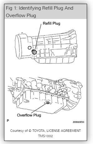 Transmission Fill & Check Plugs.jpg