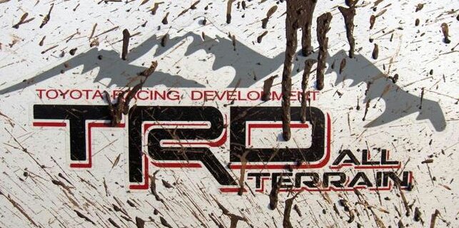 trd-1.jpg