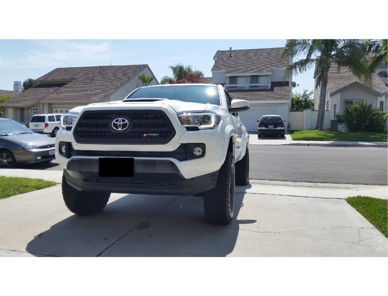 TRD badge.jpg