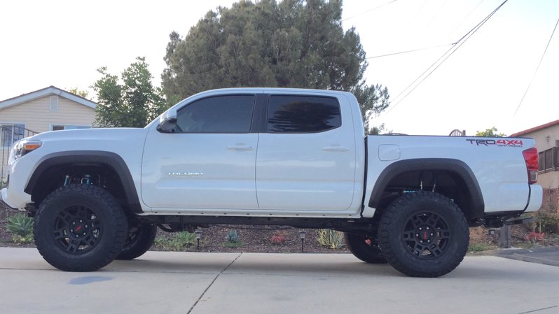 trd.jpg