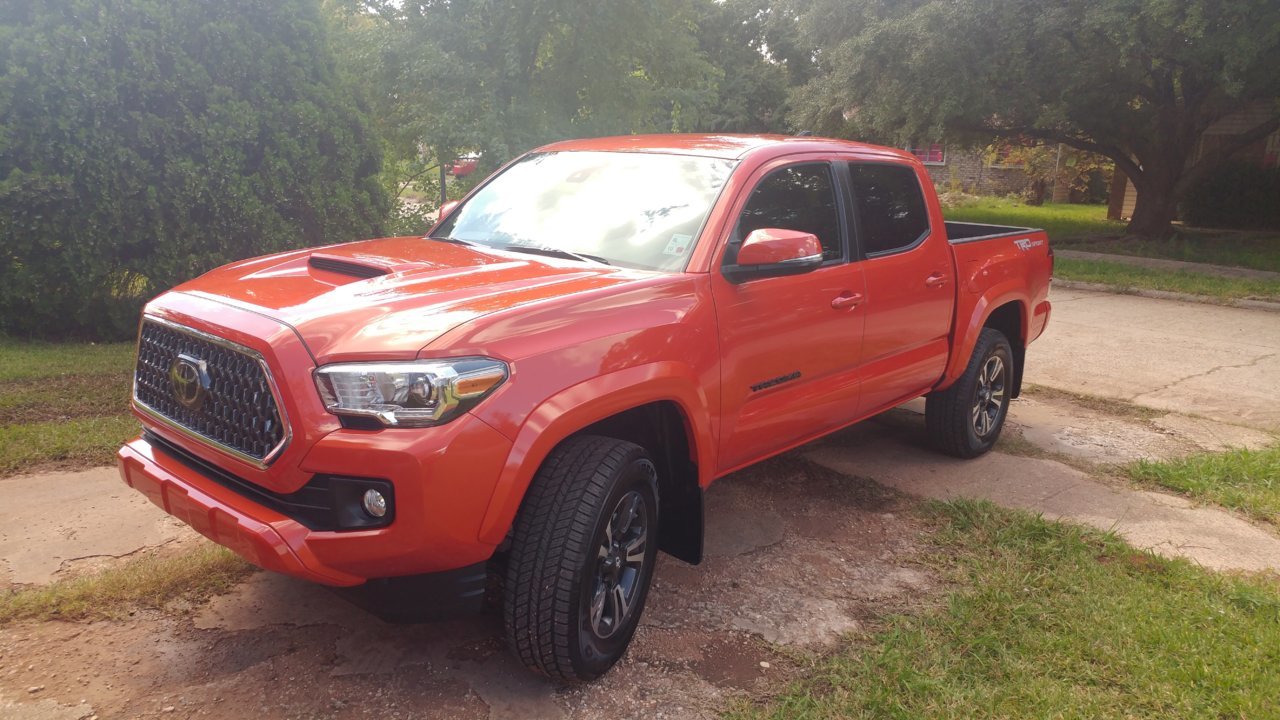 trd.jpg