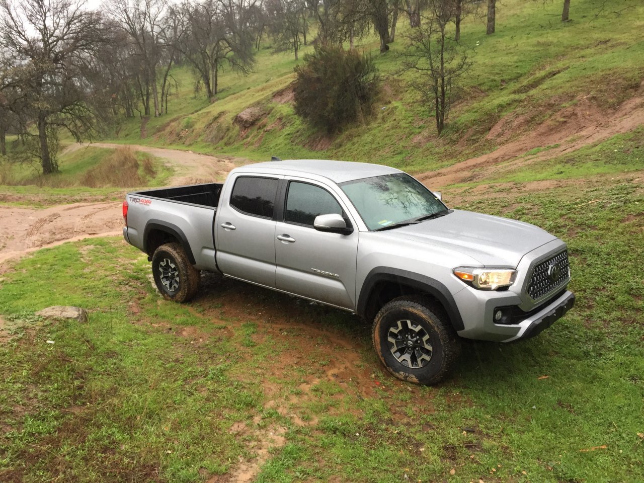 trd.jpg