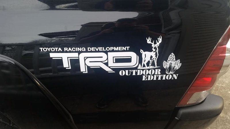 trd.jpg