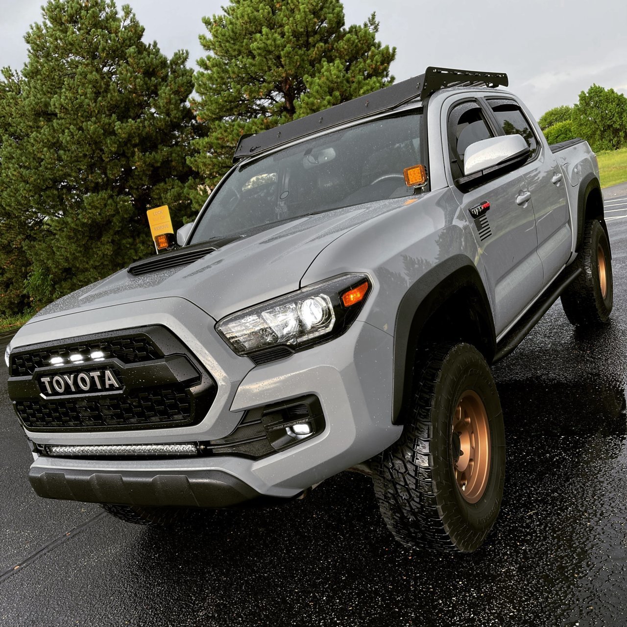 trd.jpg