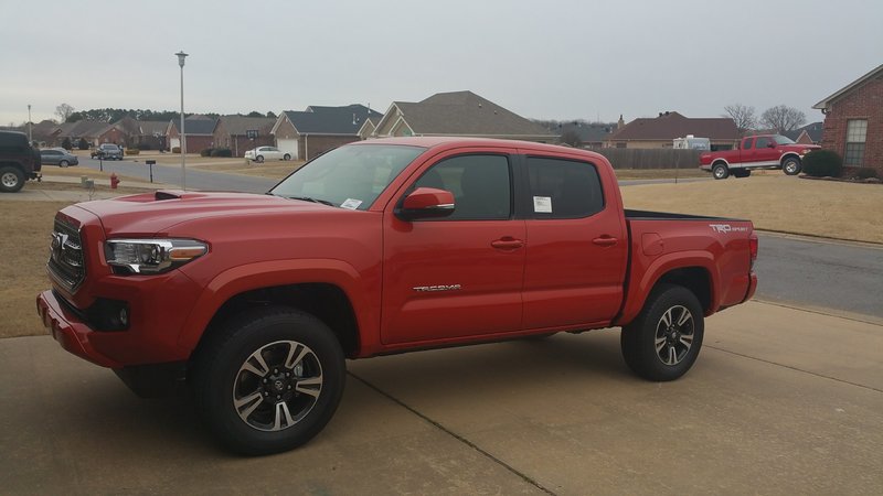 trd.jpg