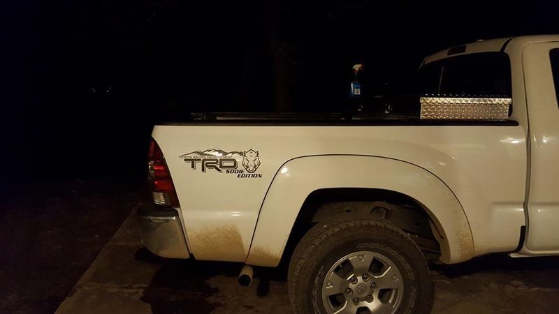 trd.jpg