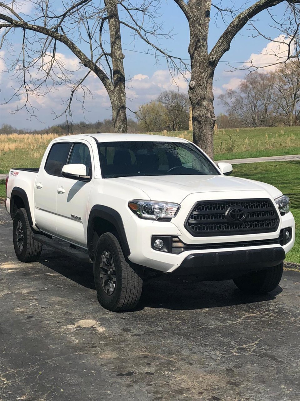 TRD OR 1.jpg