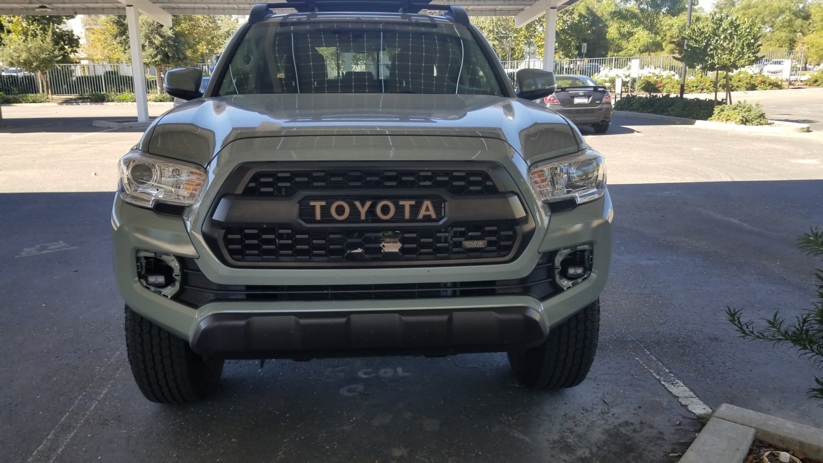 TRD PRO FOGS.jpg