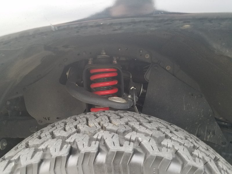 TRD PRO Front Shocks (1).jpg