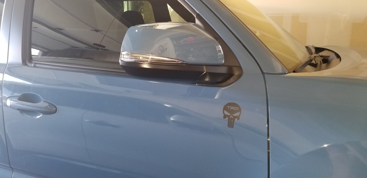 TRD Pun 1.jpg