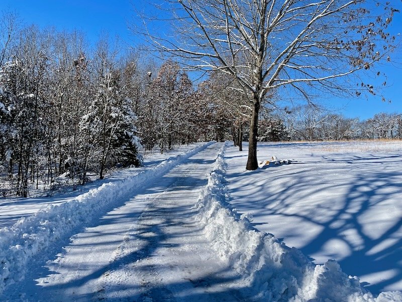TRD Snow - 2.jpg