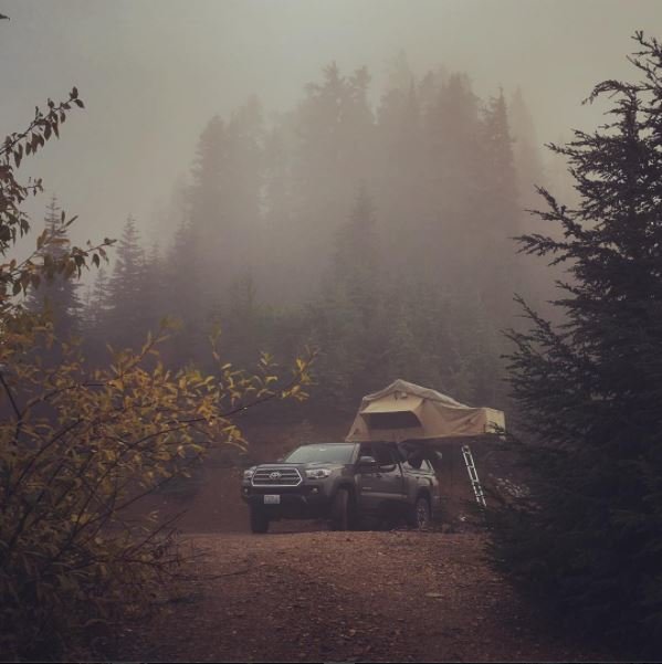 TRD03.jpg