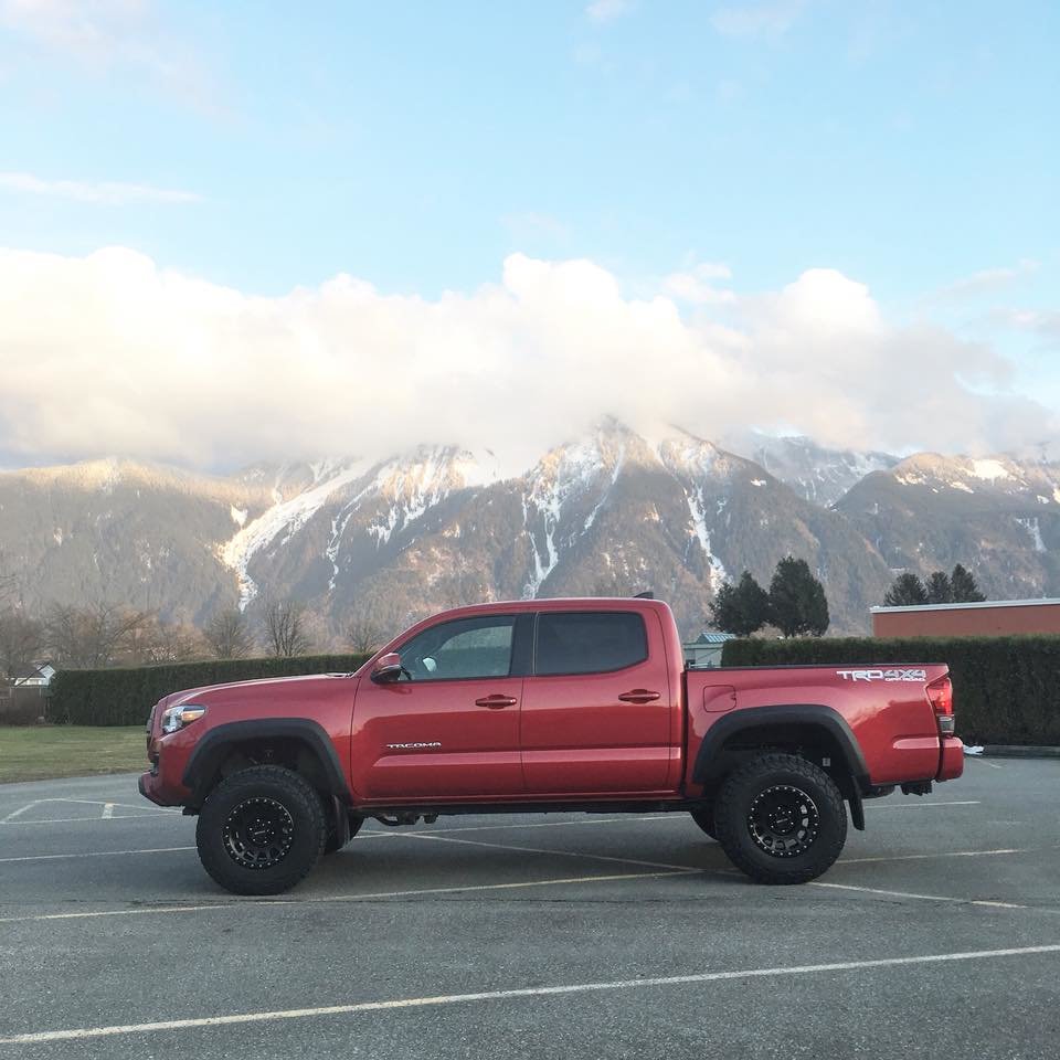 trd1.jpg