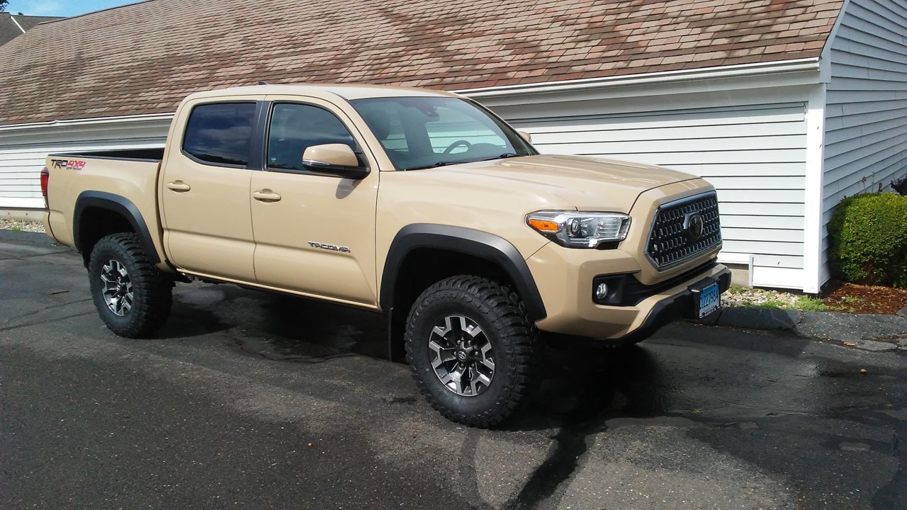 trd1.jpg