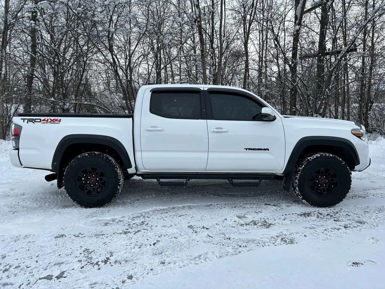 TRD1.jpg