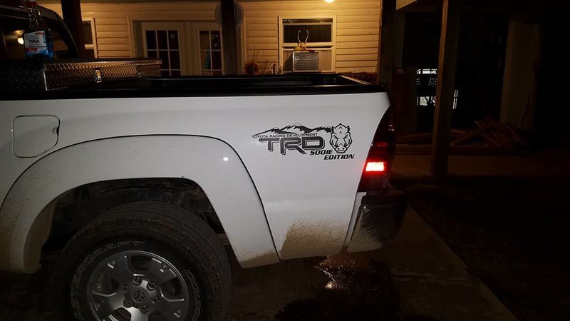trd1.jpg