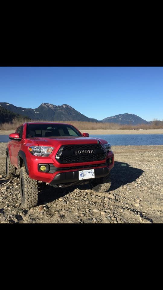 trd2.jpg