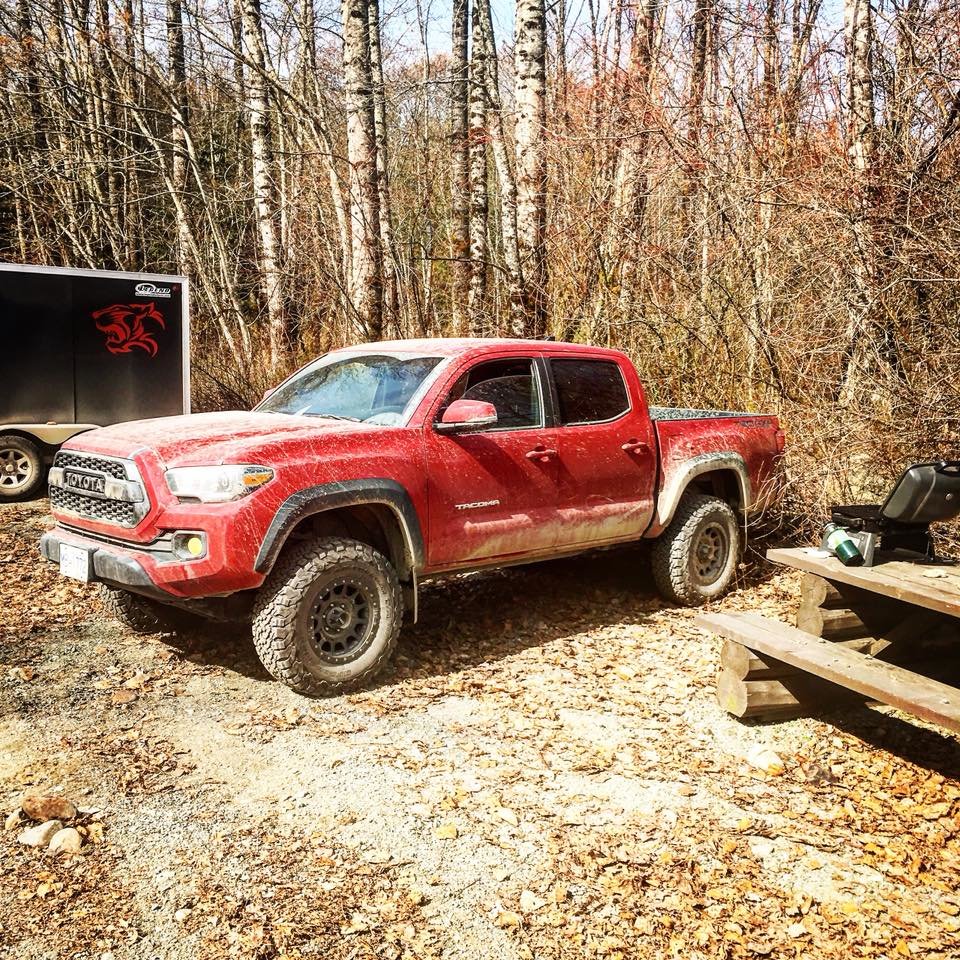 trd3.jpg